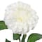 29" White Ball Dahlia Stem by Ashland®